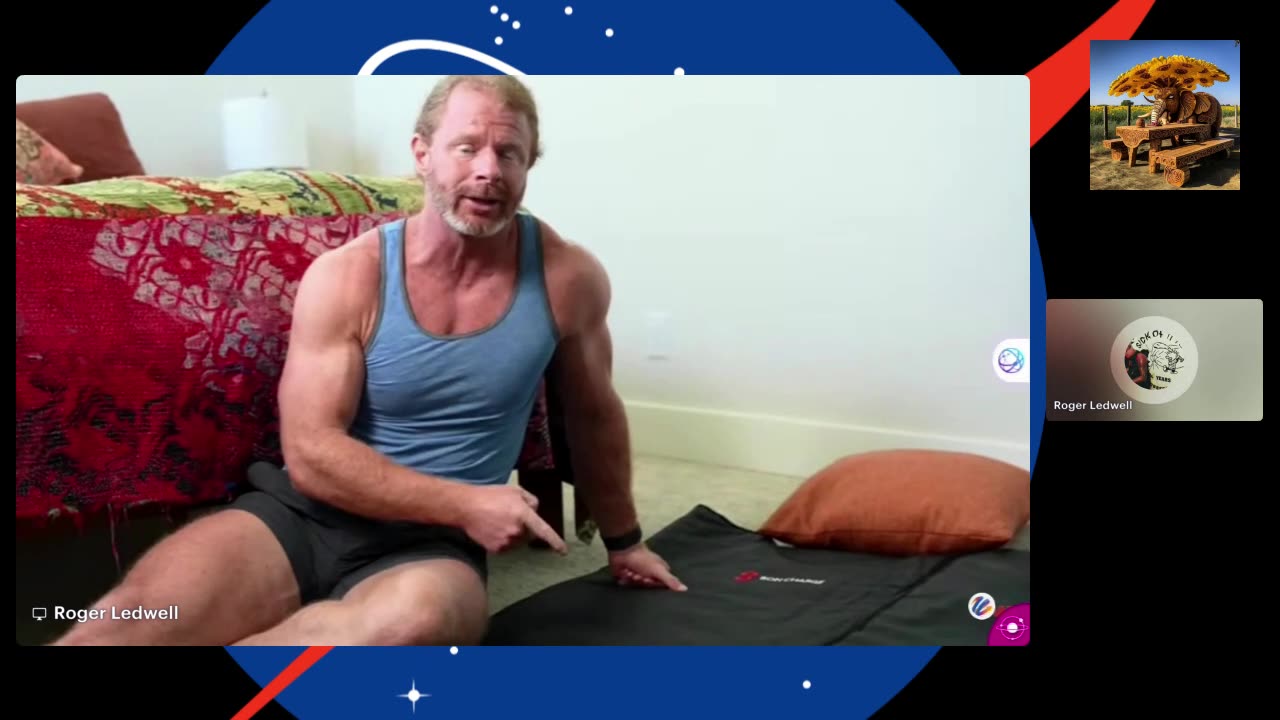 We never lie to you news