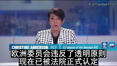 2025.11.15 MEP & Legend Christine Anderson continues to expose EU Chief Ursula