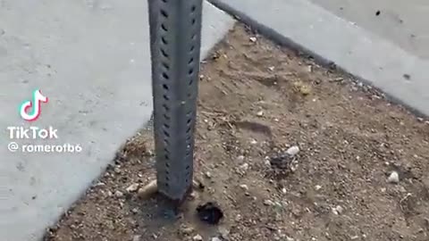 😂🤔 It Finds Its Way... Somehow! | FunFM