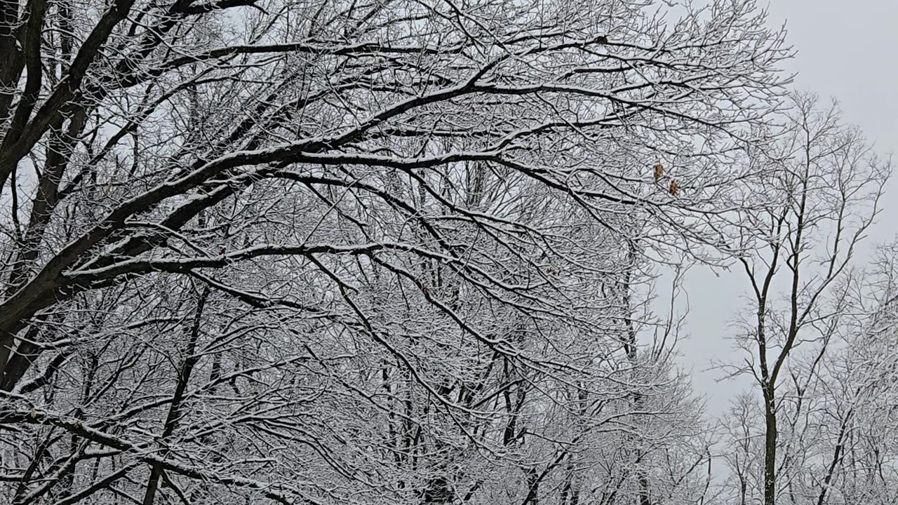 How about a little snow... IN APRIL?!