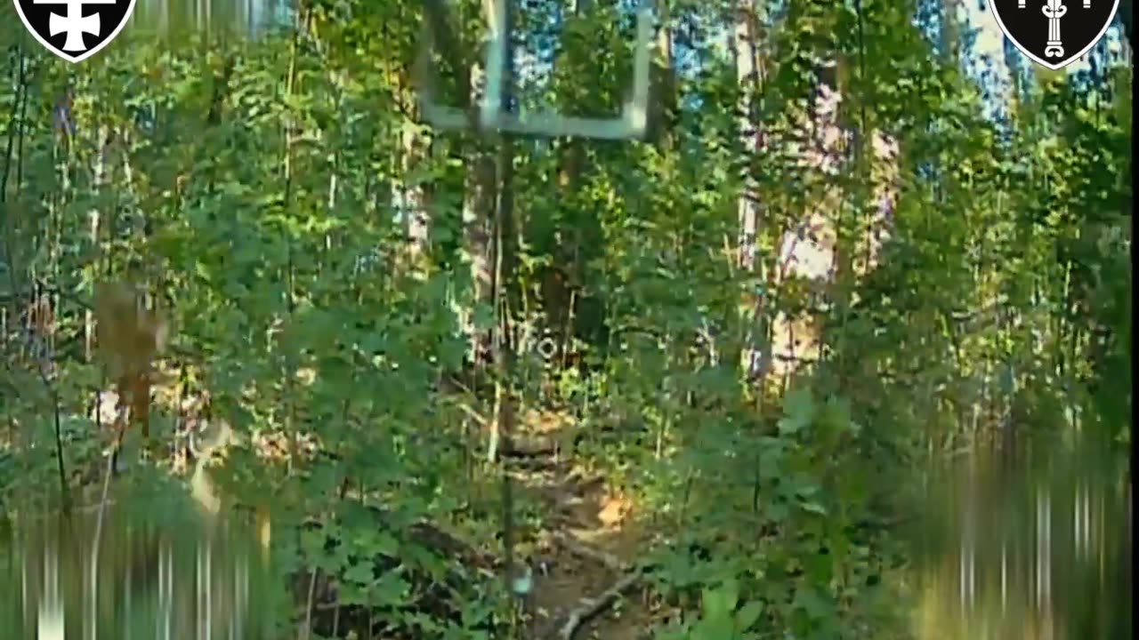 Ukrainian Fiber-Optic Drone Navigating Through Forest to Hit Russian Infantry Group
