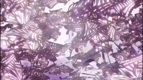 When worlds collide: Ashes and Blood // Anime (+Arcane) AMV