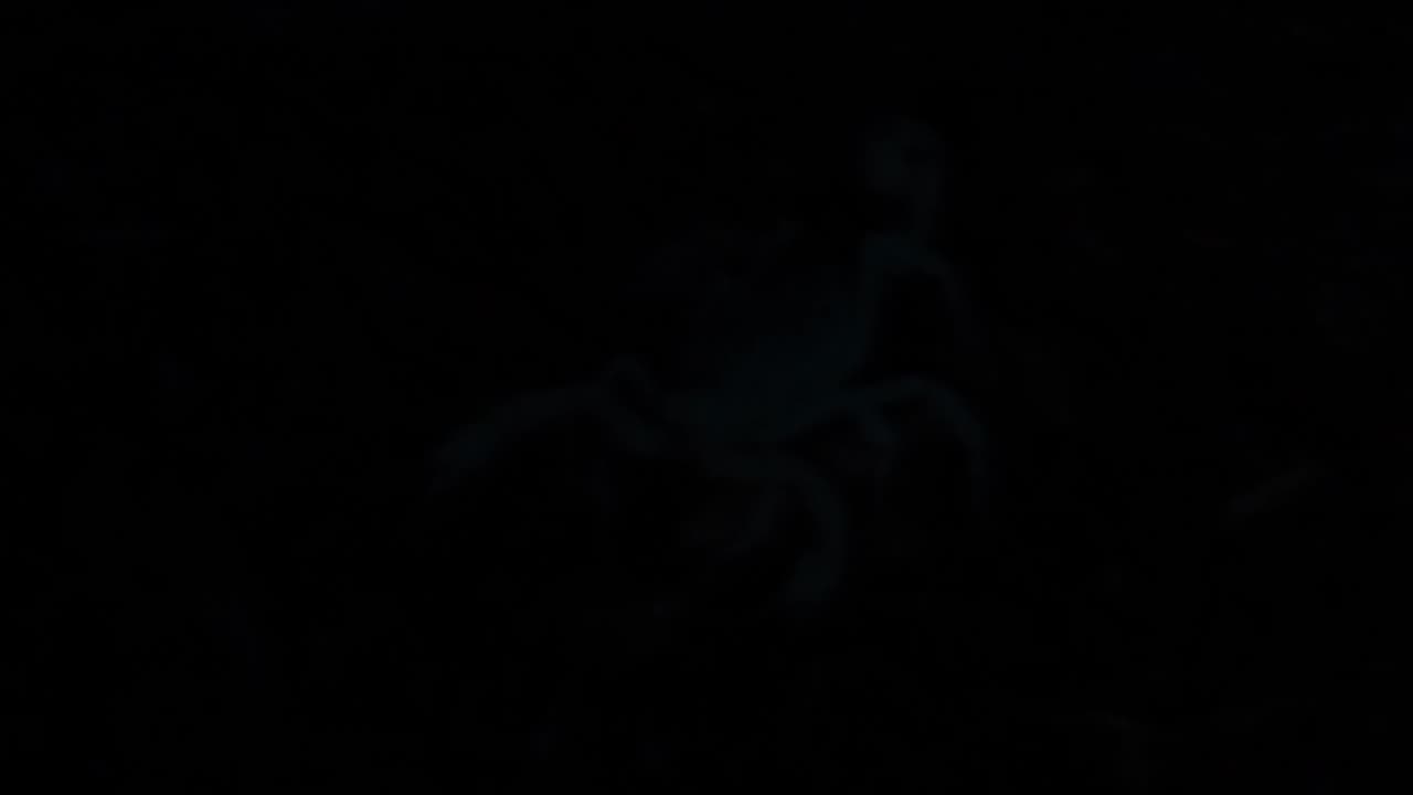 Brief shot of glowing scorpion