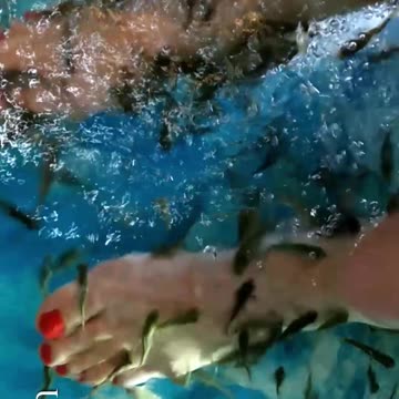 Magic Dekho-62-Fish Spa1-Tiktok