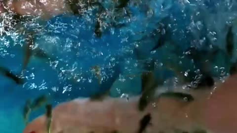 Magic Dekho-62-Fish Spa1-Tiktok