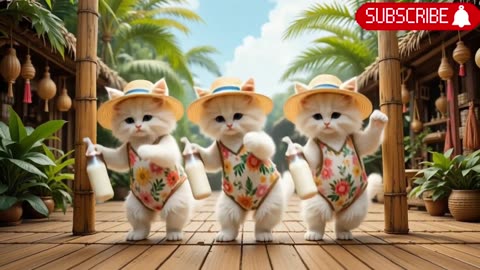Cat dance 💃🐾