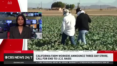announce 3-day strike, call for end of ICE raids