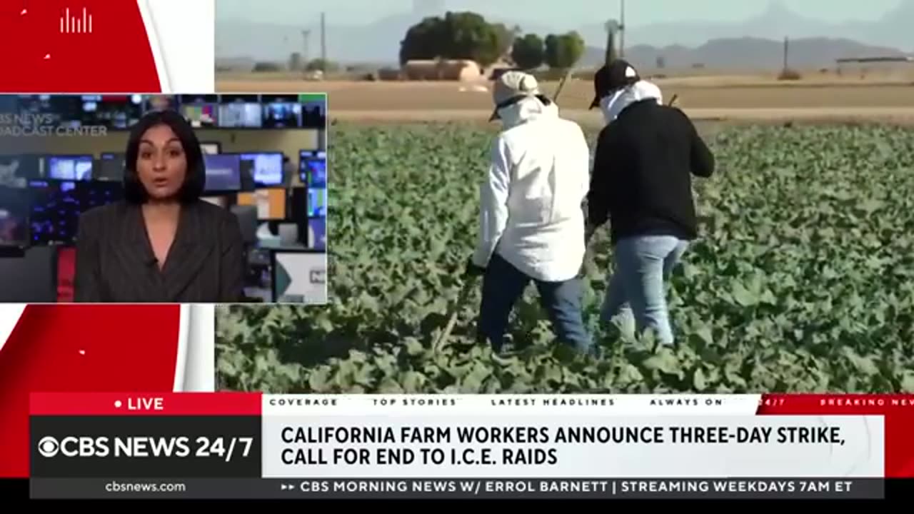 announce 3-day strike, call for end of ICE raids