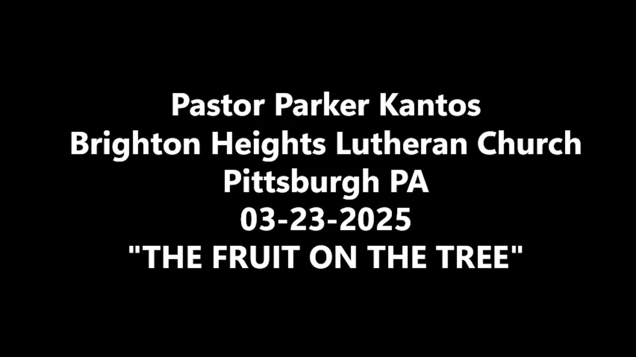 Sermon: "The Fruit on the Tree" March 23, 2025