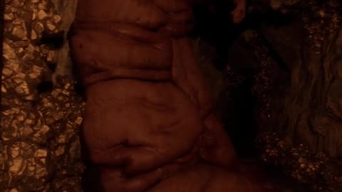 Modern Warfare 3 - Precious Cargo Mission Walkthrough (No Commentary)