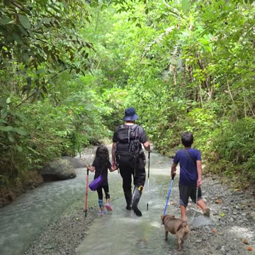 🇵🇭 Expat in the Philippines, Nature Therapy on the Way to the Farm 🌿🚶‍♂️