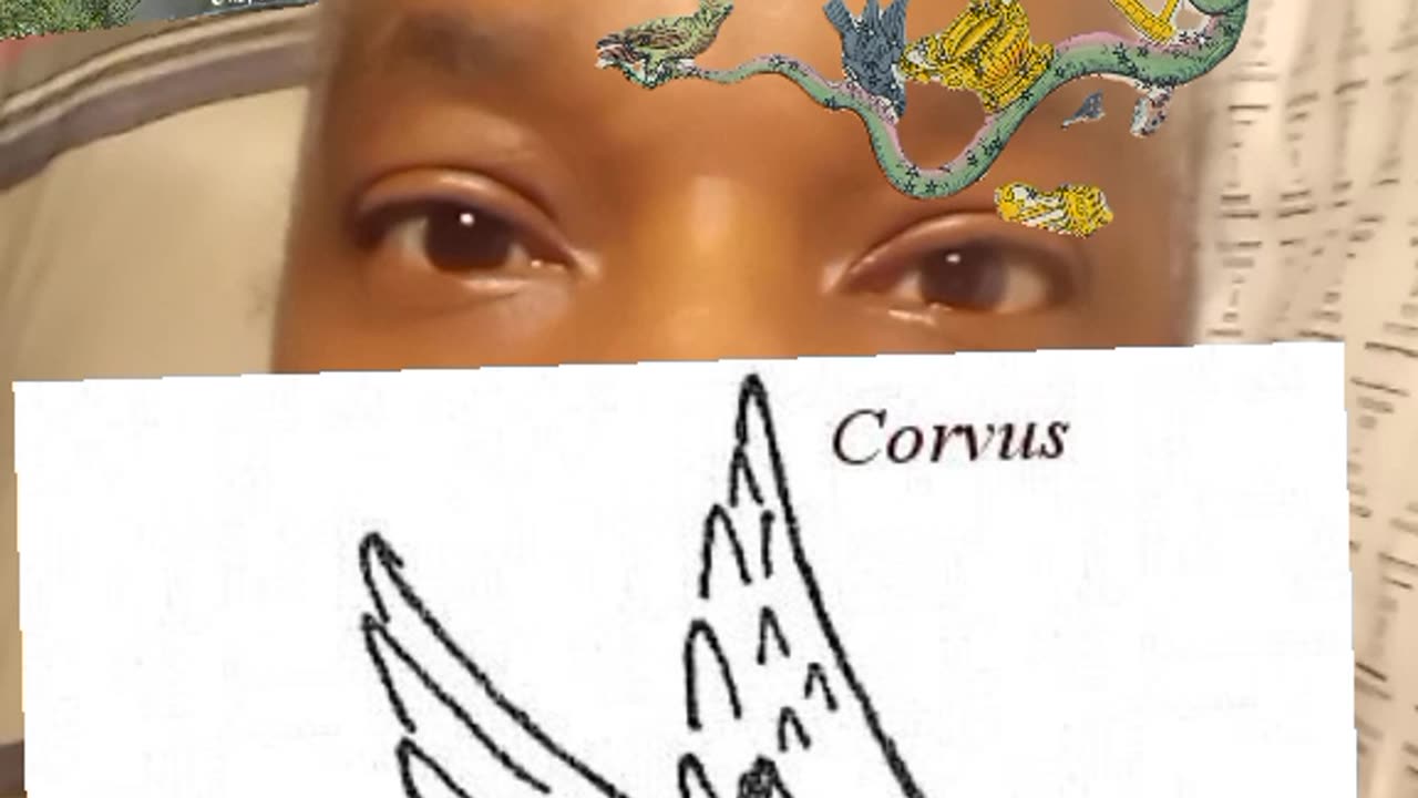 SICKLE CELL CELLS GET OFF THEIR JOBS