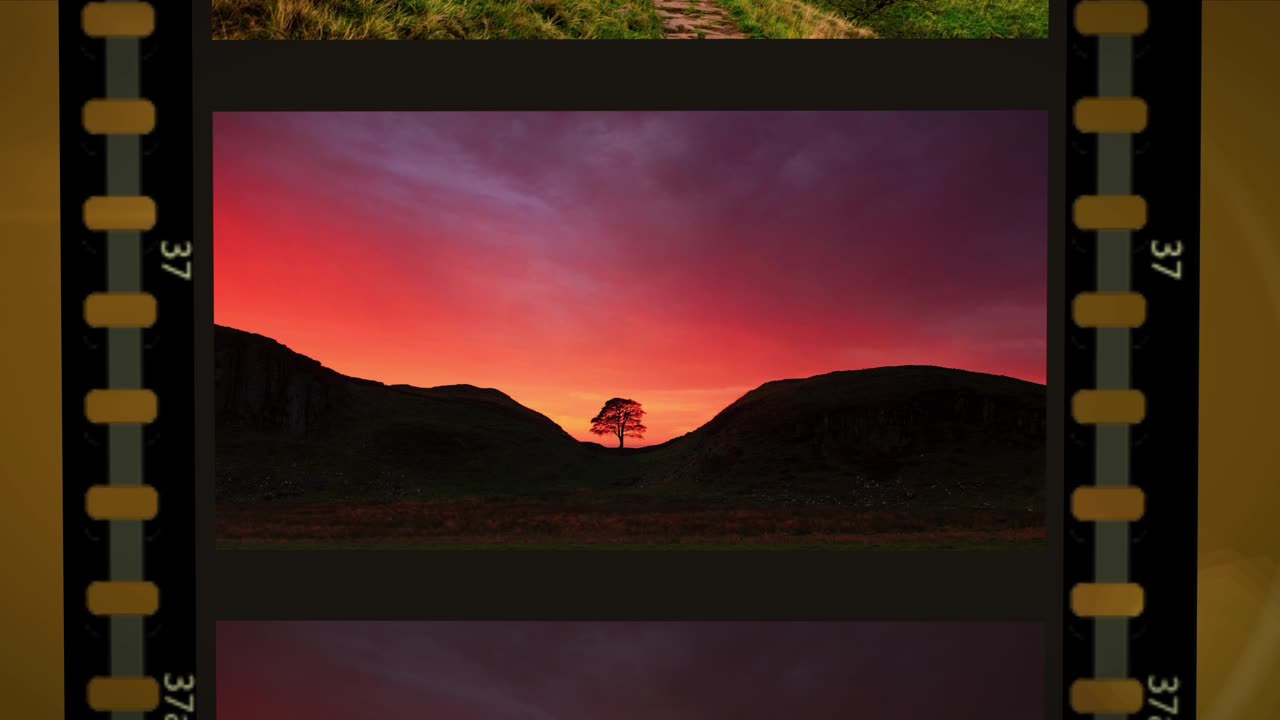 A Tribute to Sycamore Gap