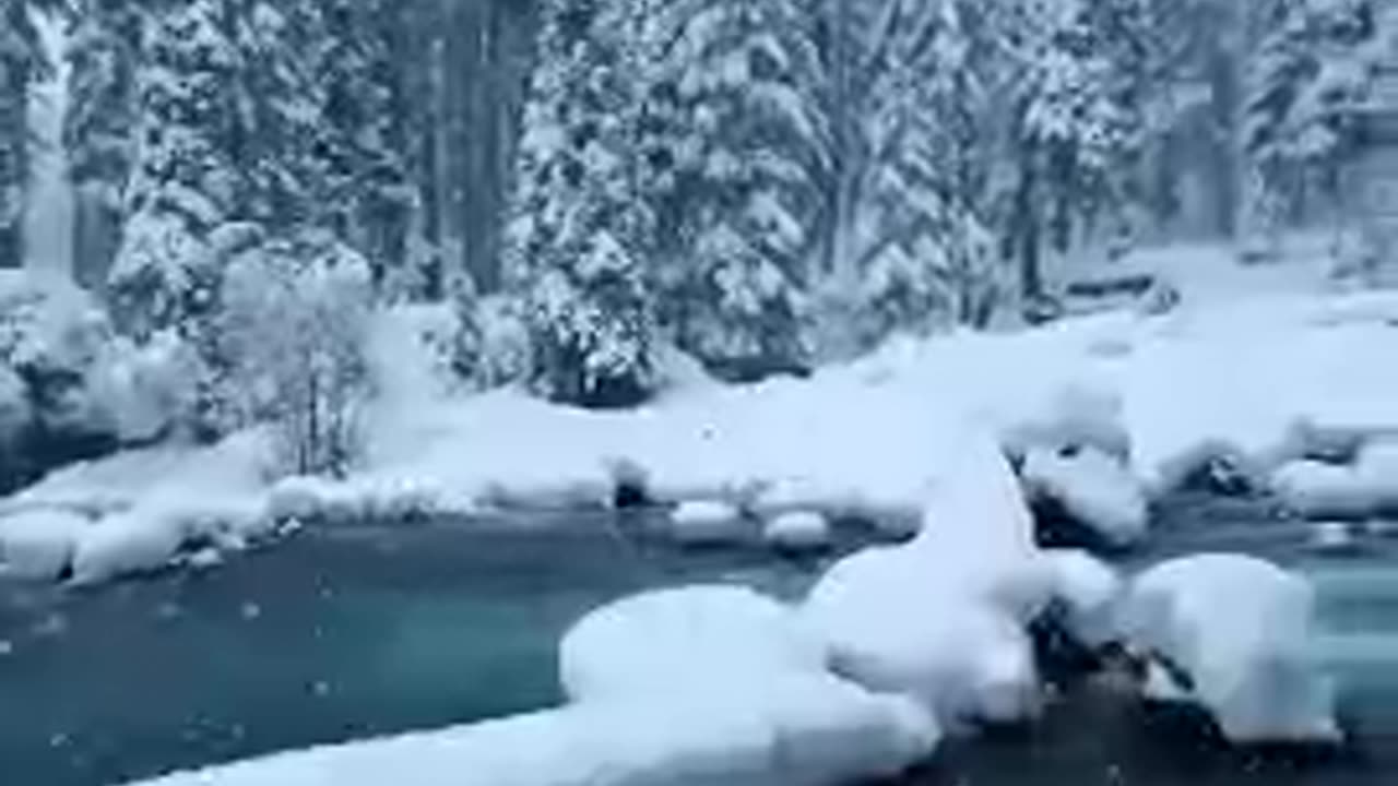 Nature #ice