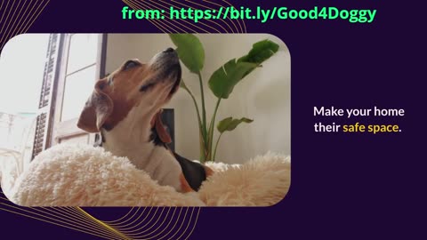 Creating a Dog-Friendly Home: Safety Tips Every Pet Owner Must Know