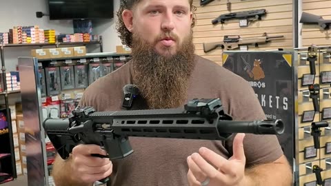 .22 Conversion Kit or an AR Chambered in .22?