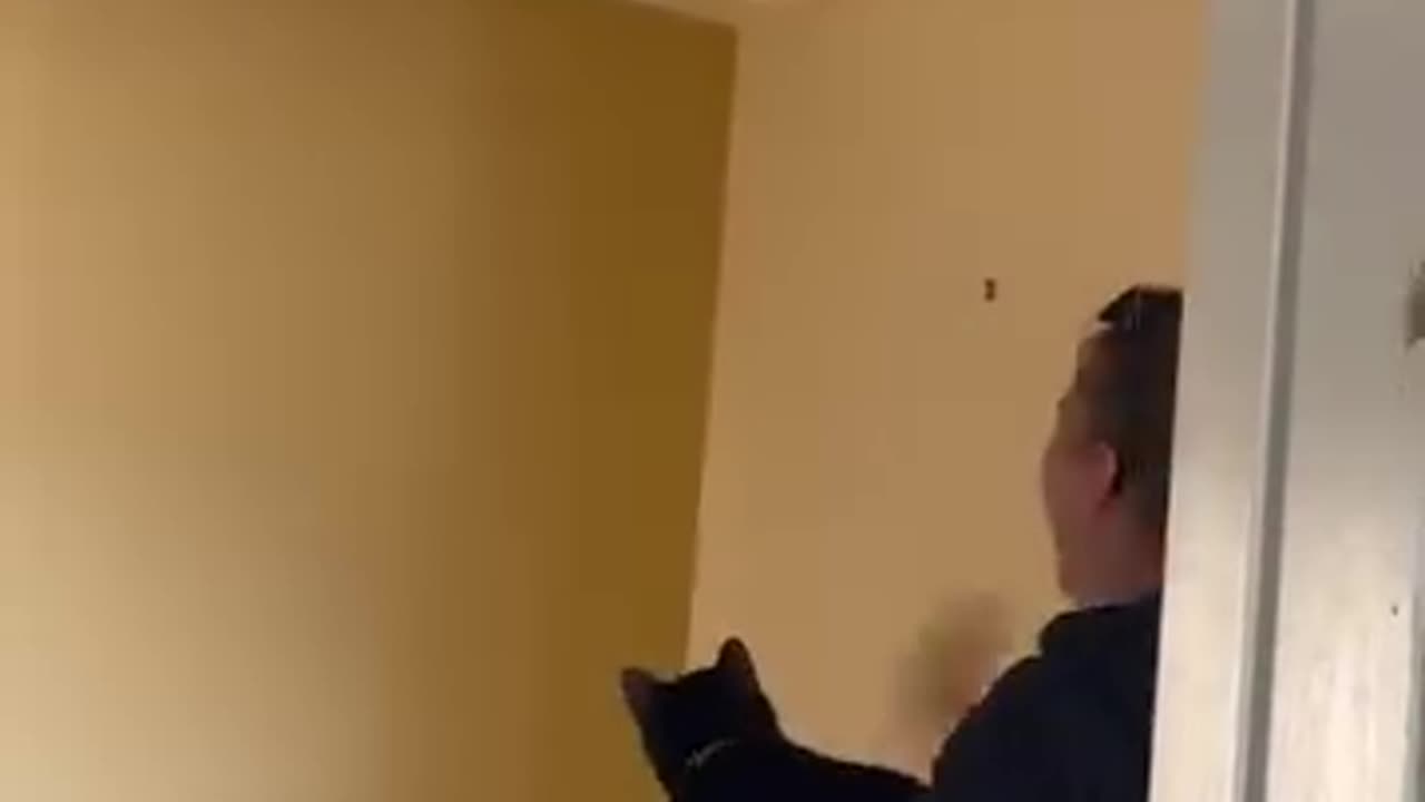 Funny