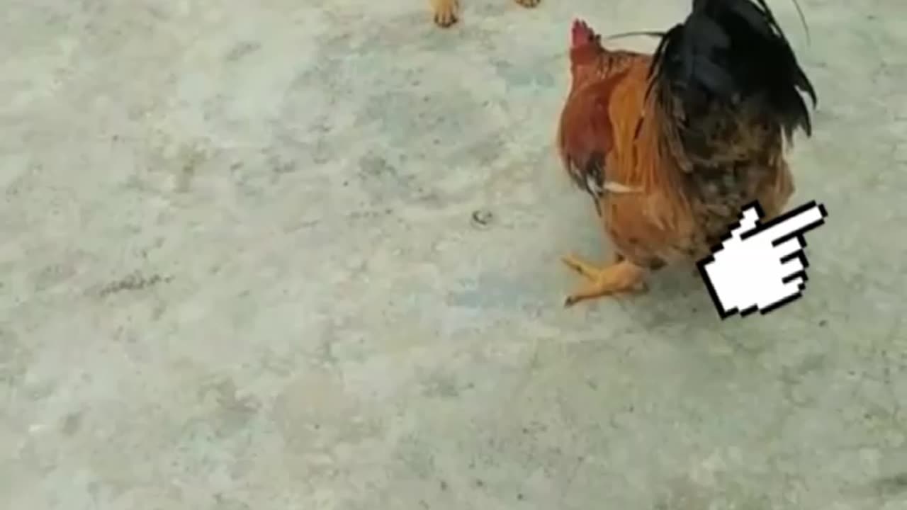 fanny