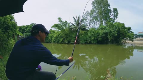 Bluegill Spin Fishing in Lake Shorelines