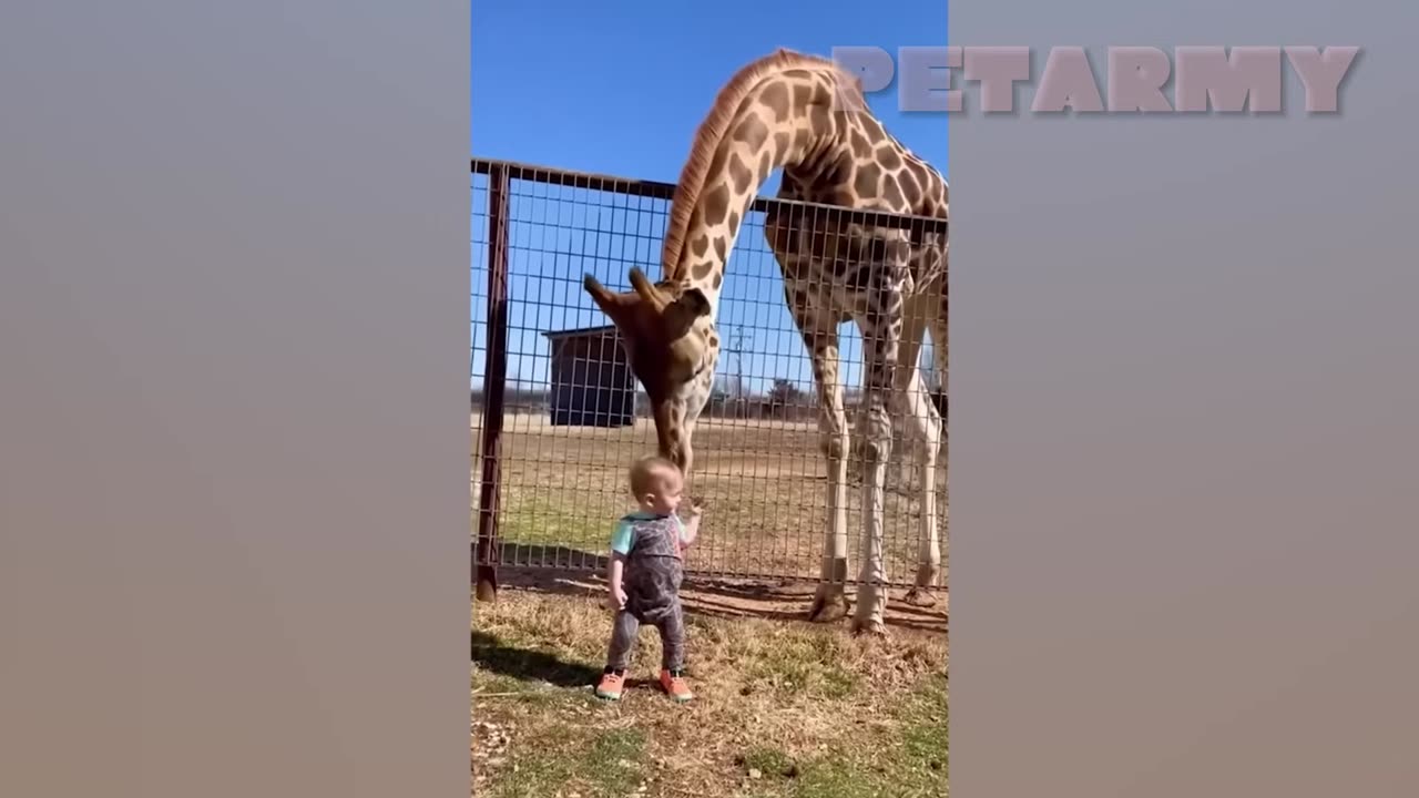 When Kids and Animals Are Best Friends… Pure Joy! 💞🐶