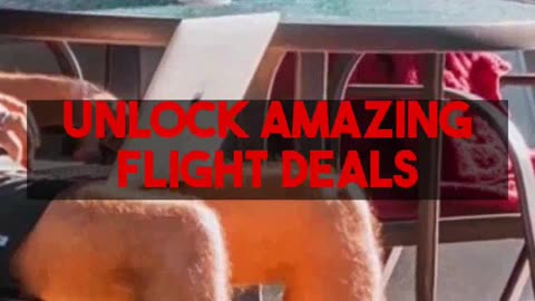 Mighty Travels Premium Case Studies: Unlock Affordable Business & 5-Star Stays.