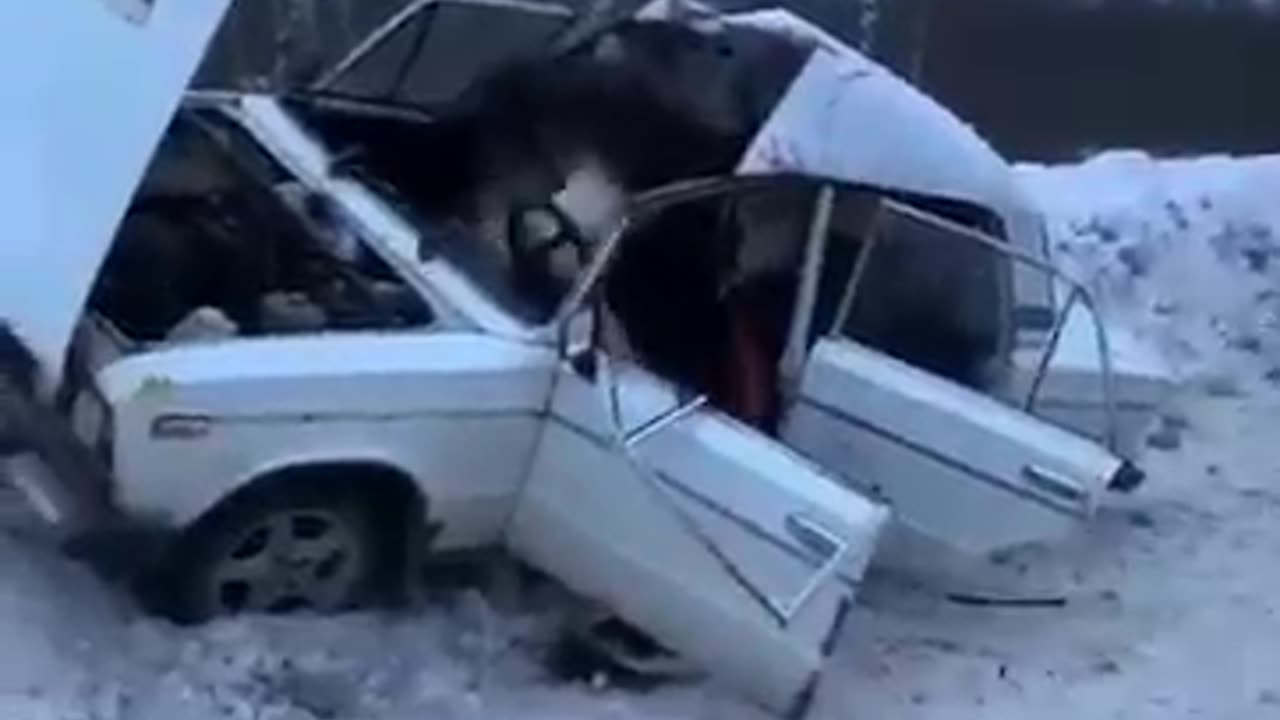 Moose flew into the car interior