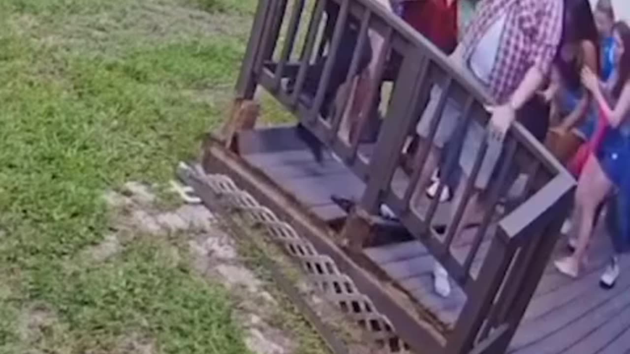 funniest clips