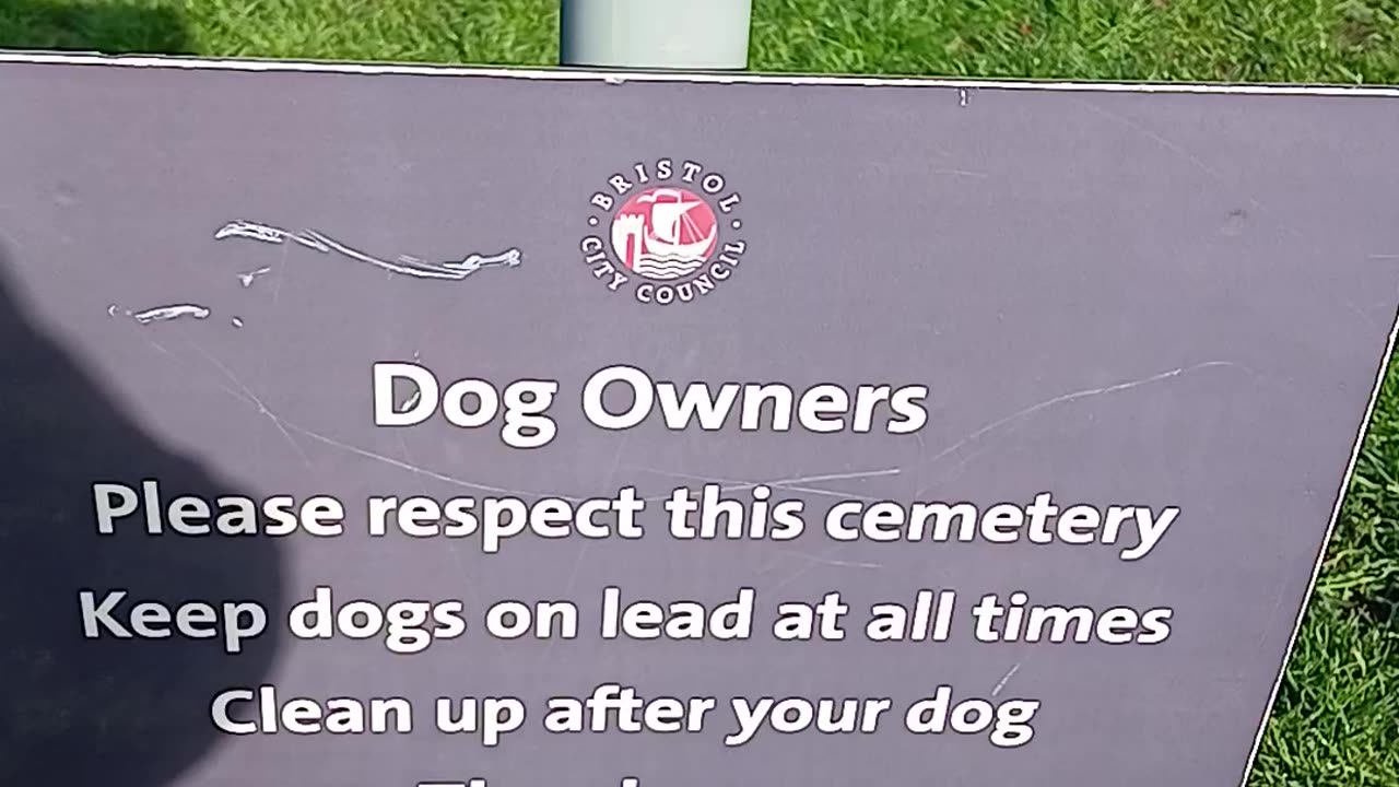 Dog walkers put dogs on leads TO LEAVE.