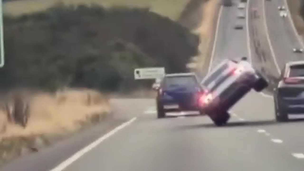 Pro car driver