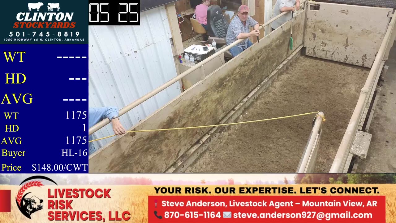 8/16/2025 - Cattle Auction - Clinton Stockyards