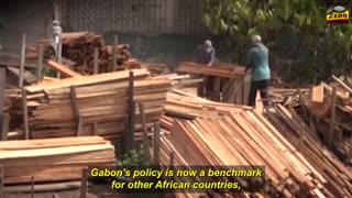 Africa Strikes Back: Export Ban Shakes Western Economies!
