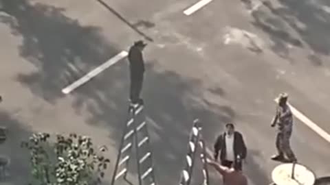 😂🤣 Man on a Stepladder? You've Got to See This! | FunFM