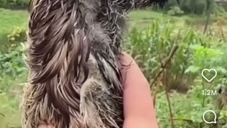 😂🙏 This Epic Stress Relief Will Make You Smile! | FunFM