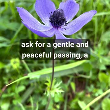 Finding Assurance in Faith When Facing Mortality and Grief