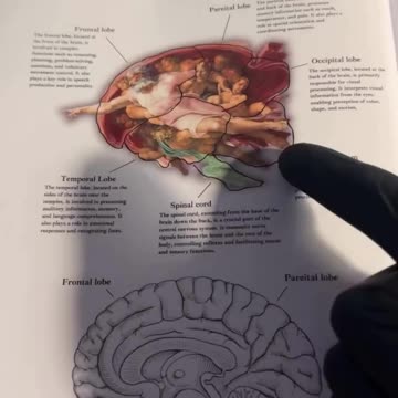 THE HIDDEN MEANING BEHIND ADAM & GOD’S FINGERS 👁️✨