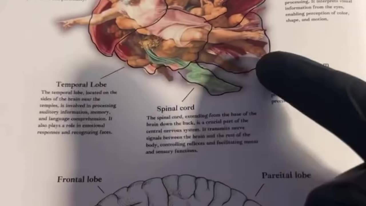 THE HIDDEN MEANING BEHIND ADAM & GOD’S FINGERS 👁️✨