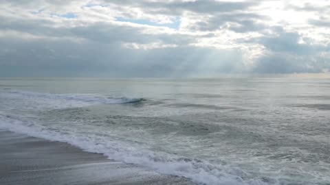 Magical Chronicles of Nature