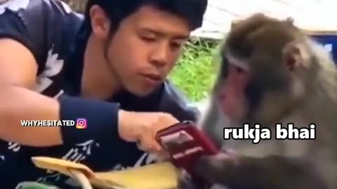 Kyu pell diya bhai