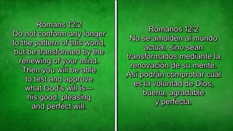 Living Hope Today Studies + Church Worship Services