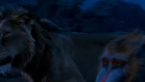 Mufasa 😍❤️ (Part - 42).....#reels #viralreels #reel #mufasa #animation #lastest #romantic #viralreel