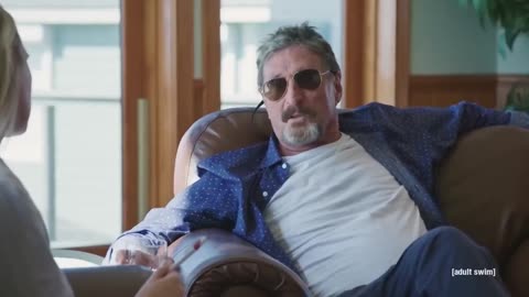 John McAfee "Within a week, the entire government computer system was under my control."