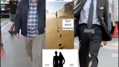 Jim Carrey EGI