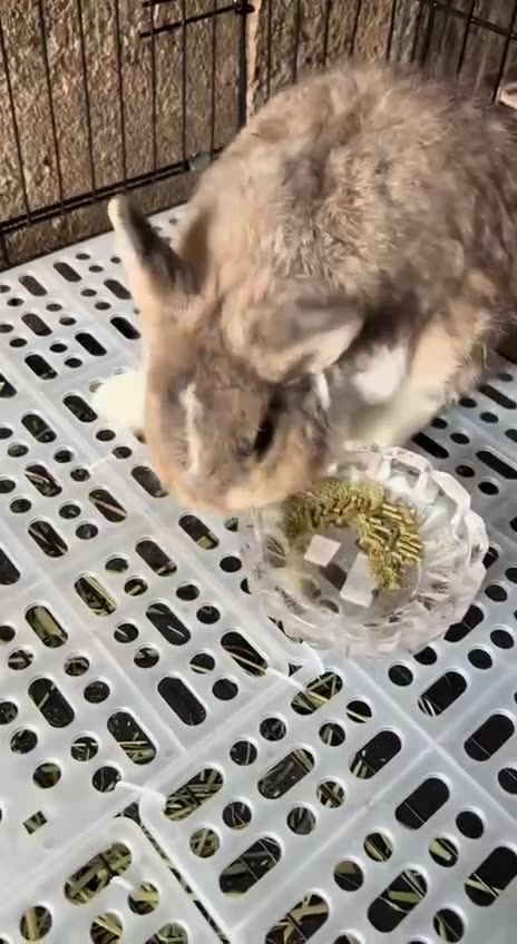 What I think of your cooking