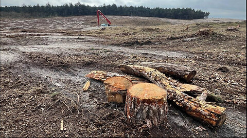 SDG 15 uitvoerder Coenraad Krijger maakt Bergense Bossen verleden tijd 22 feb 2024