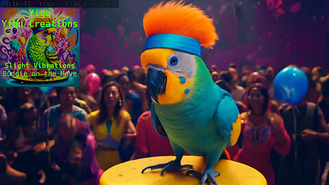 Budgie on the Move