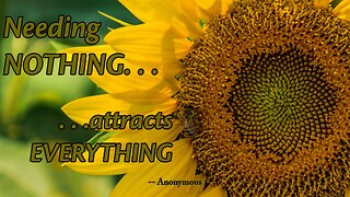 Soul of the EveryMan - Needing NOTHING attracts EVERYTHING