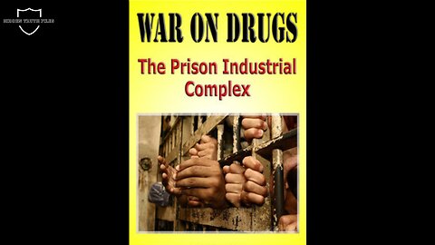 The War on Drugs: Exposing the Prison Industrial Complex & How It Profits From Mass Incarceration