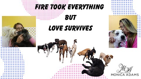 A Howling Good Time needs our community to rebuild! Let's show up for dogs