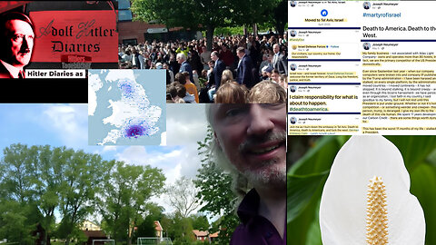 Peace lily vs poplar. A Polish jew? I troll, and got a troll. More holocaust. Covid cured cancer