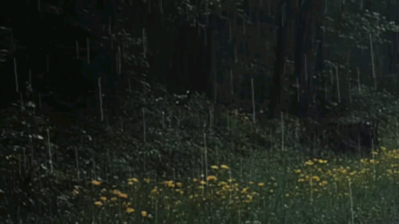 Relaxing rain video and sound